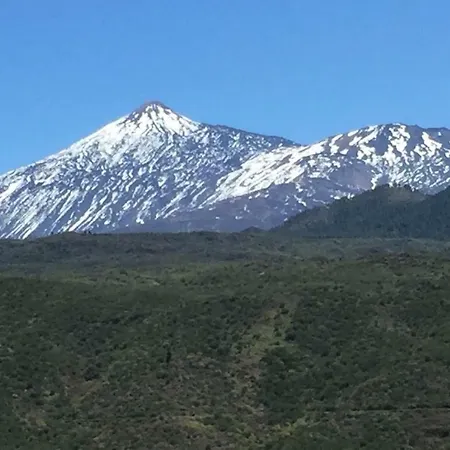 Laika Los Cristianos